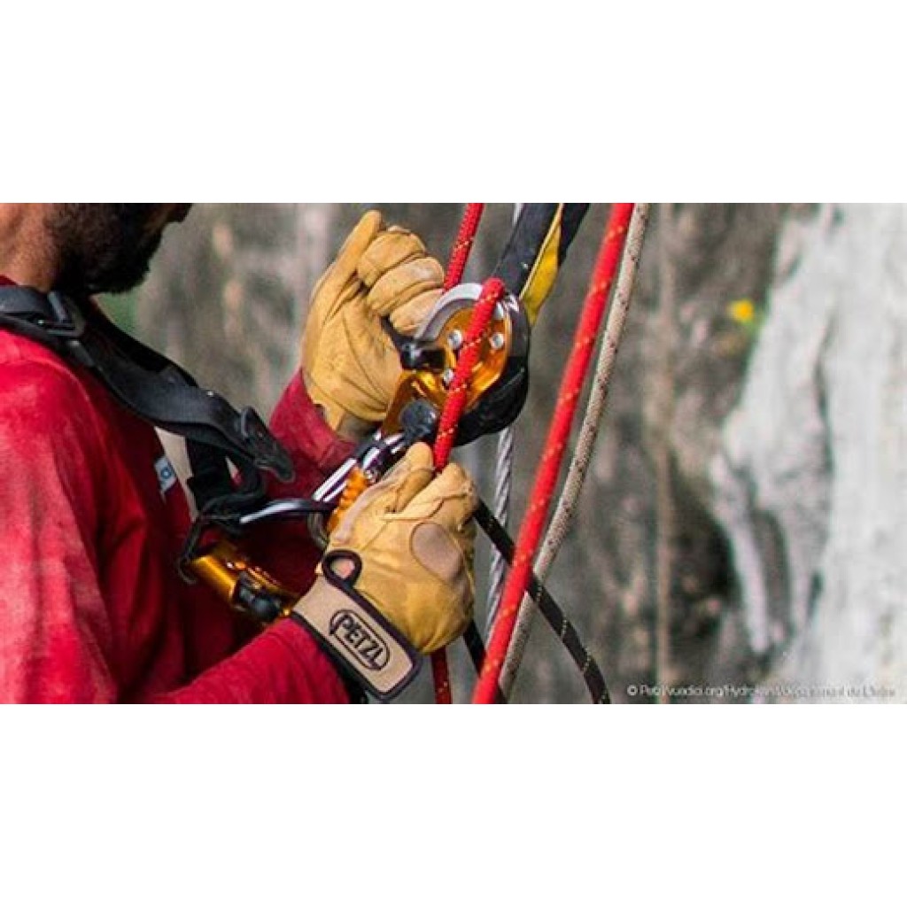 Tırmanış ve Arama Kurtarma İçin Petzl Ring2Side Kullanımı